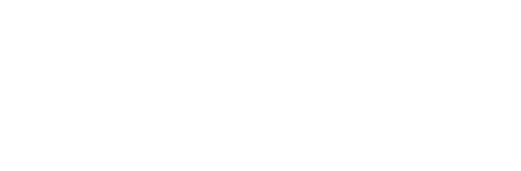 Stone & Co